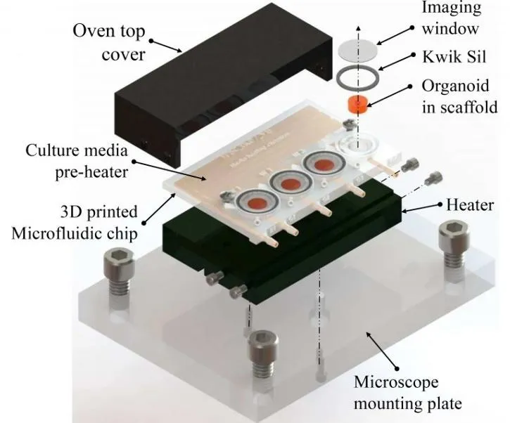 Exploded view of the 3D-printed microfluidic chip