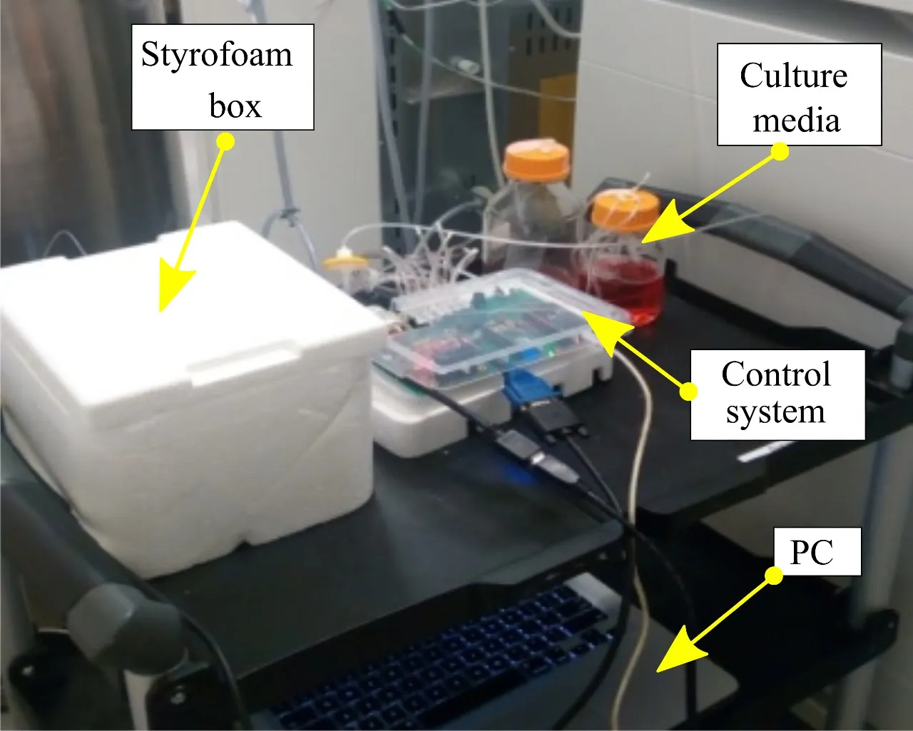 Working prototype of the microfluidic bioreactor on a lab bench